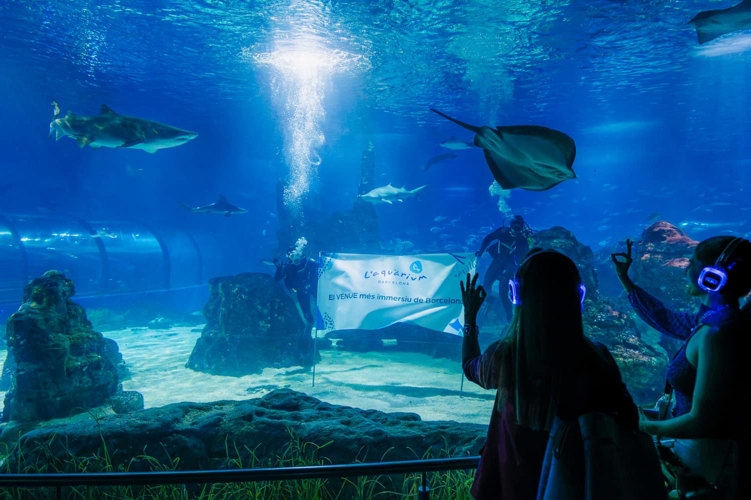 Guests in AURA headphones inside the Barcelona Aquarium
