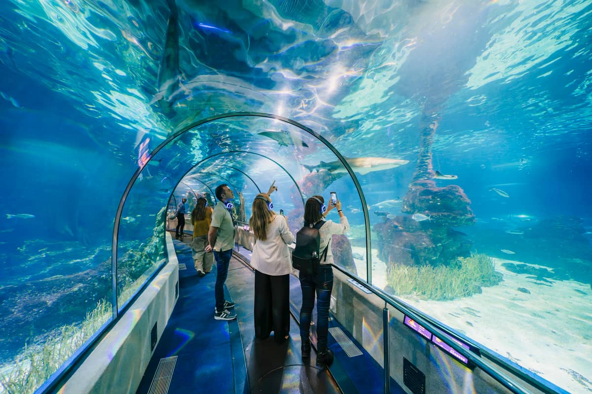Guests in AURA headphones inside the Barcelona Aquarium