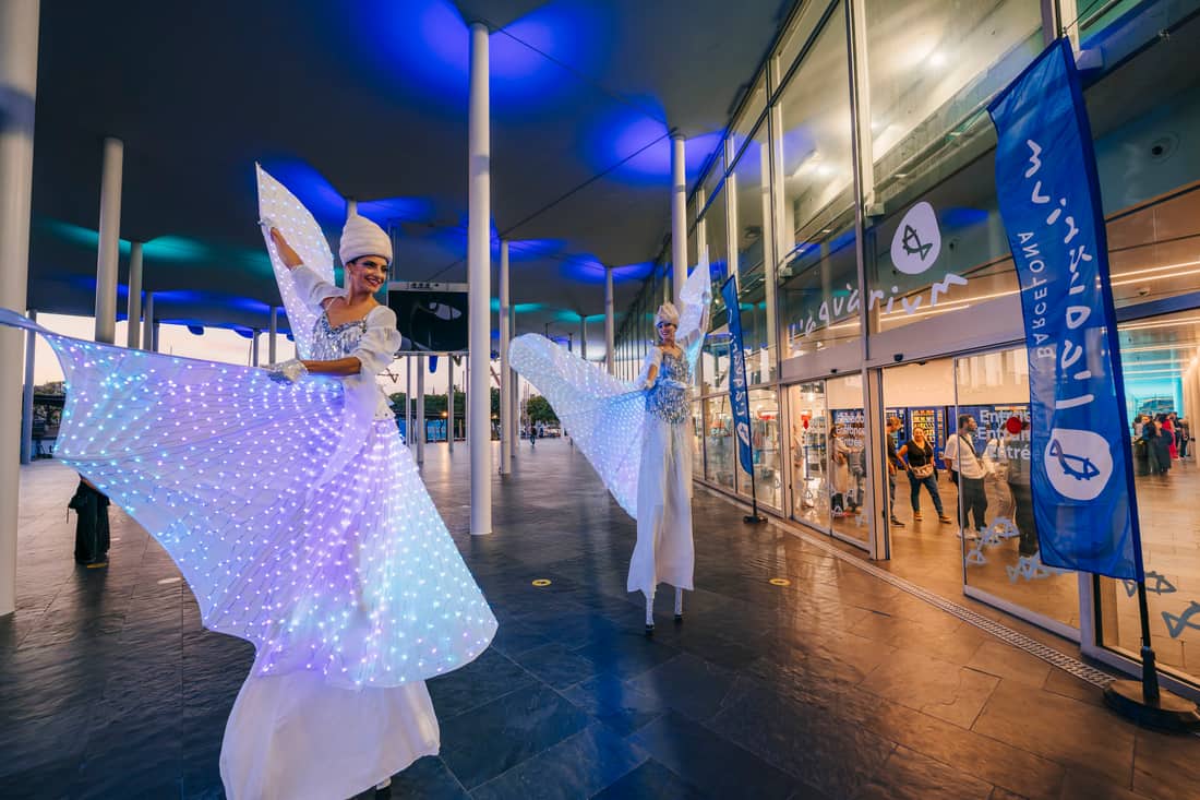 Artistas con luces en un evento silencioso de AURA